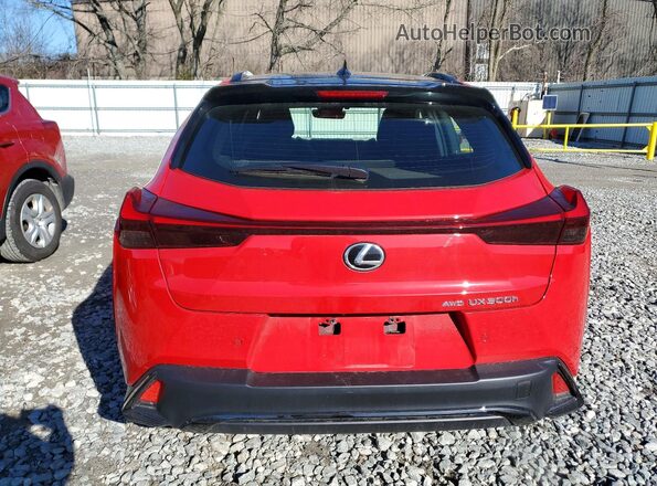 JTHUCJDH5S2012164 2025 LEXUS UX Красный Вид сзади