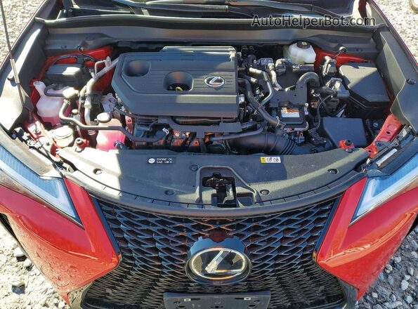JTHUCJDH5S2012164 2025 LEXUS UX Красный Вид задней части салона