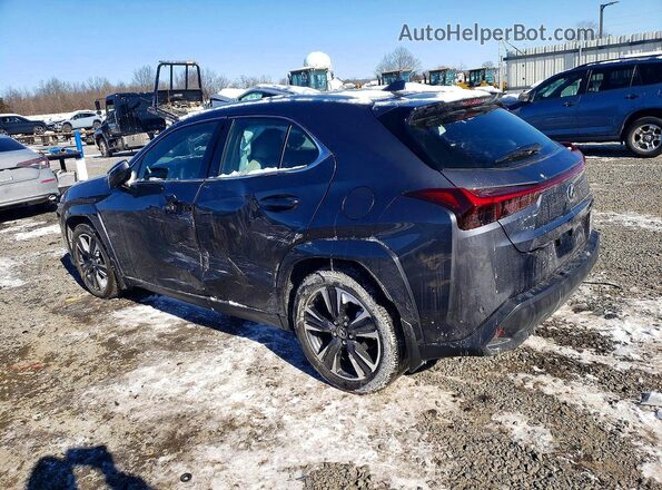 JTHUCJDH6S2012643 2025 LEXUS UX Gray 