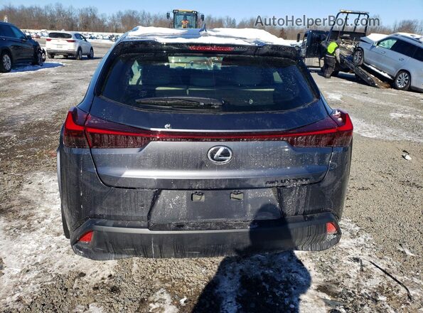 JTHUCJDH6S2012643 2025 LEXUS UX Gray 
