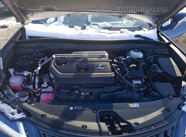 JTHUCJDH6S2012643 2025 LEXUS UX Gray 