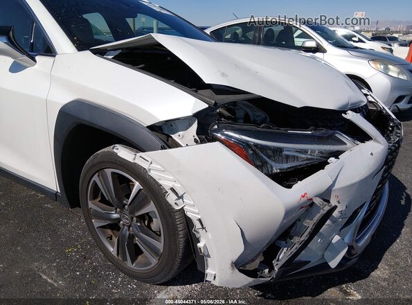 JTHX3JBH9N2046970 2022 LEXUS UX 200 White 