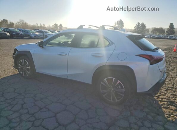 JTHX6JBH1R2170633 2024 LEXUS UX Белый Задняя левая четверть