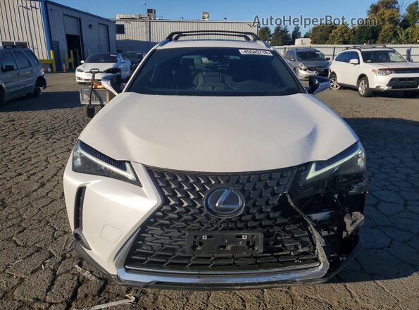 JTHX6JBH1R2170633 2024 LEXUS UX Белый Вид спереди