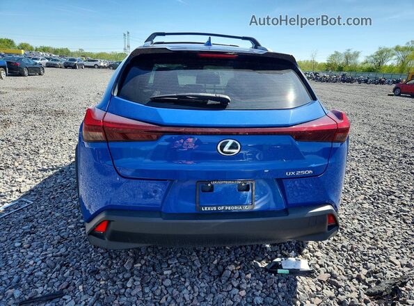 JTHX6JBH2P2133832 2023 LEXUS UX Blue უკანა ხედი