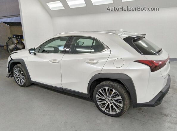 JTHX6JBH5R2176550 2024 LEXUS UX White Trasero izquierdo