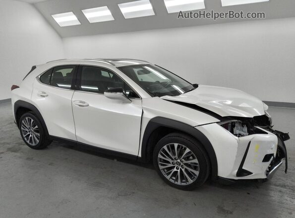 JTHX6JBH5R2176550 2024 LEXUS UX White 