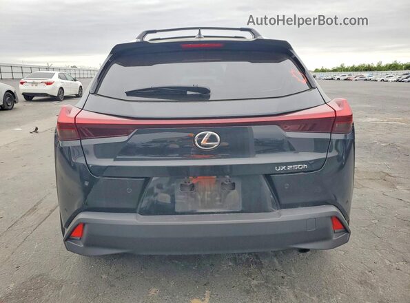 JTHX6JBH9P2156766 2023 LEXUS UX Black Widok z tyłu