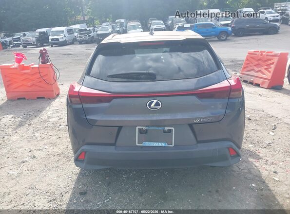 JTHX9JBH5N2055406 2022 LEXUS UX 250H Gray 