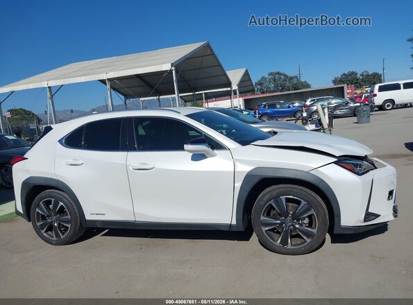 JTHX9JBH8L2036121 2020 LEXUS UX 250H White უკანა სალონის ხედი