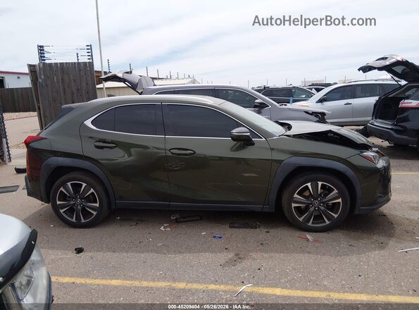 JTHY3JBH1K2005328 2019 LEXUS UX 200 Green Vista interior trasera