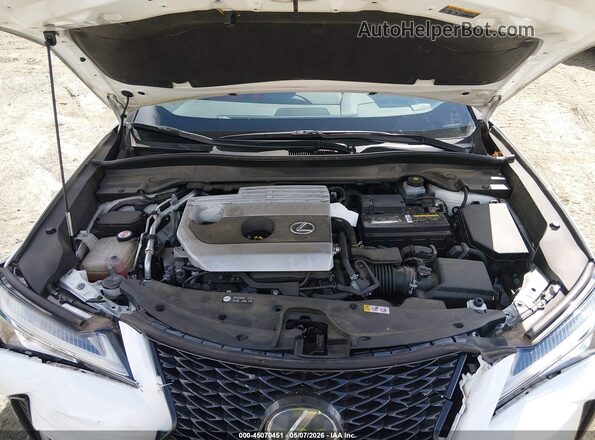 JTHY3JBH5K2000438 2019 LEXUS UX 200 White Widok z tyłu