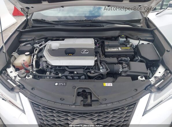 JTHY3JBHXK2002881 2019 LEXUS UX 200 White Հետևի տեսք