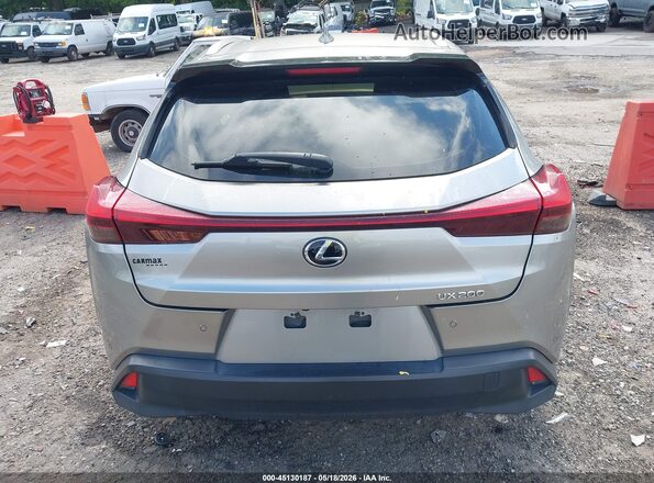 JTHY3JBHXK2007997 2019 LEXUS UX 200 Gray 