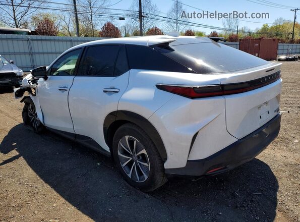 JTJAAAAB2SA029050 2025 LEXUS RZ Белый Задняя левая четверть