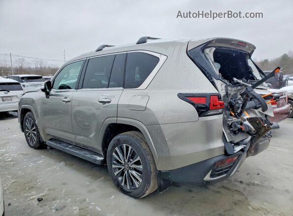 JTJAB7CX5P4027002 2023 LEXUS LX Beige Հետևի ձախ