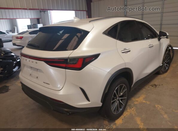 JTJADCAZ1R2008646 2024 LEXUS NX 250 White 