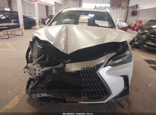 JTJADCAZ1R2008646 2024 LEXUS NX 250 White 