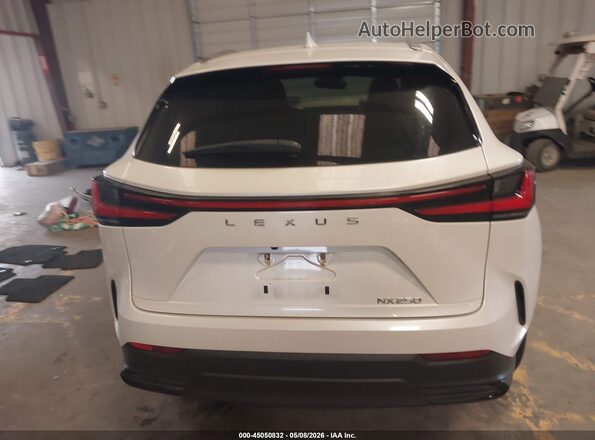 JTJADCAZ1R2008646 2024 LEXUS NX 250 White 