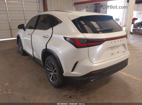 JTJADCAZ1R2008646 2024 LEXUS NX 250 White 