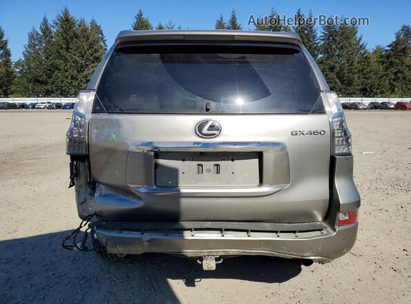 JTJAM7BX4P5369577 2023 LEXUS GX Silver Вид ззаду