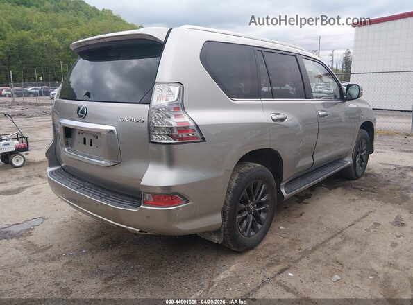 JTJAM7BX6P5341702 2023 LEXUS GX 460 Gray Задня права чверть