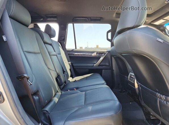 JTJAM7BXXL5263242 2020 LEXUS GX Silver Սալոնի հետևի տեսք