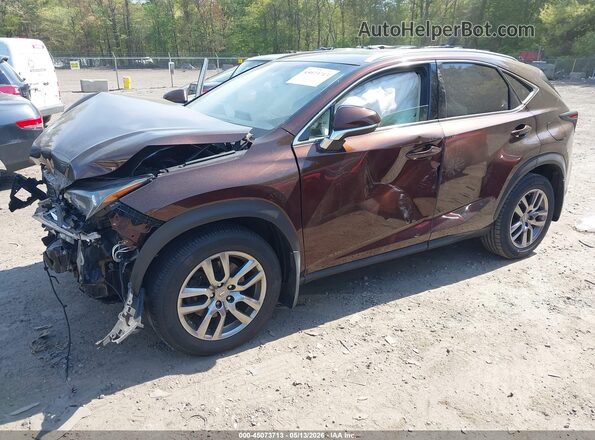 JTJBARBZ1G2062010 2016 LEXUS NX 200T Brown 