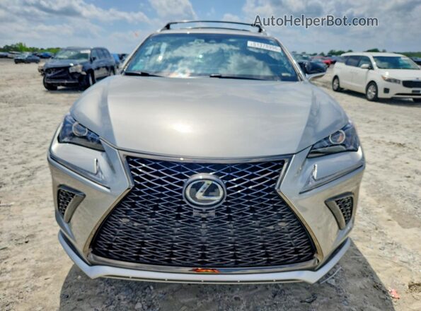 JTJBARBZ1J2162292 2018 LEXUS NX Gray Widok z przodu