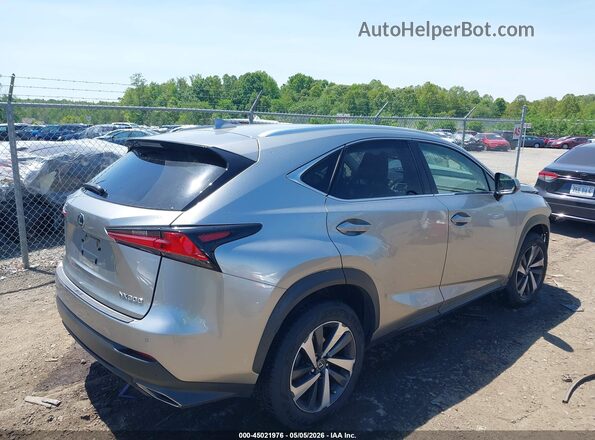 JTJBARBZ2K2200761 2019 LEXUS NX 300 Gray Հետևի աջ
