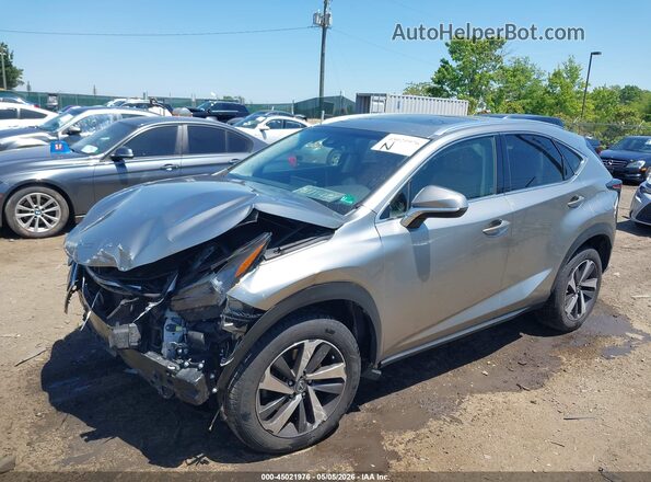 JTJBARBZ2K2200761 2019 LEXUS NX 300 Gray Առջևի ձախ երեք քառորդ տեսարան