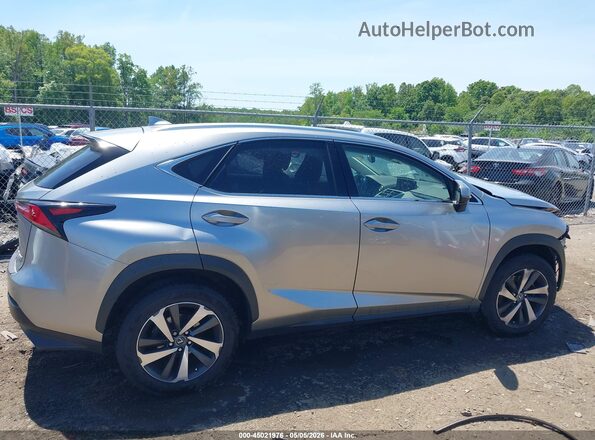 JTJBARBZ2K2200761 2019 LEXUS NX 300 Gray Սալոնի հետևի տեսք