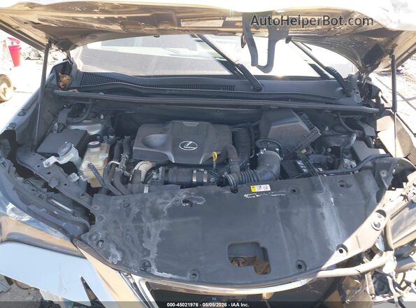 JTJBARBZ2K2200761 2019 LEXUS NX 300 Gray Հետևի տեսք