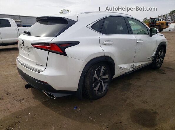JTJBARBZ5J2167656 2018 LEXUS NX White 