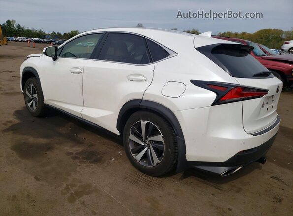 JTJBARBZ5J2167656 2018 LEXUS NX White 