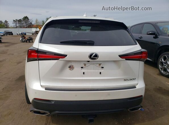 JTJBARBZ5J2167656 2018 LEXUS NX White 