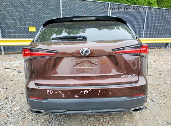 JTJBARBZ6K2191403 2019 LEXUS NX Brown Vista trasera