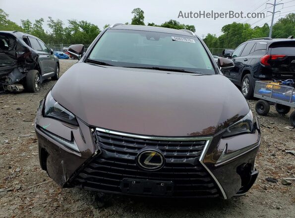 JTJBARBZ6K2191403 2019 LEXUS NX Brown Vista frontal
