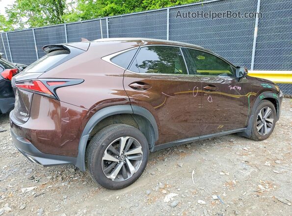 JTJBARBZ6K2191403 2019 LEXUS NX Brown Trasero derecho