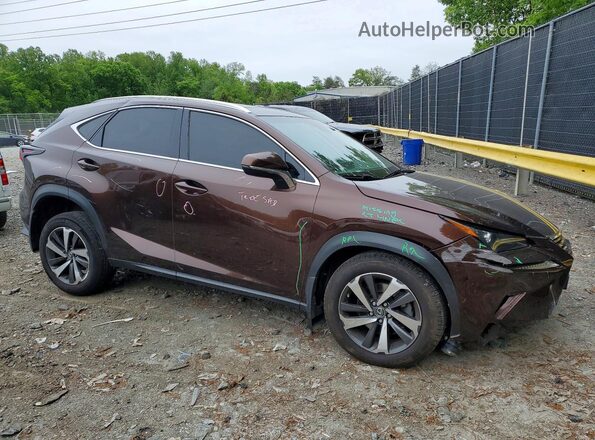 JTJBARBZ6K2191403 2019 LEXUS NX Brown Delantero derecho