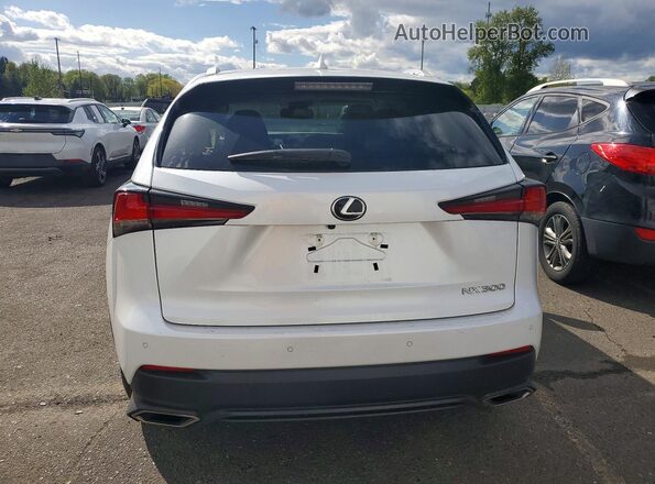 JTJBARBZ6K2215246 2019 LEXUS NX White 