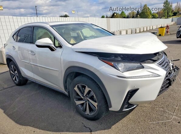 JTJBARBZ6K2215246 2019 LEXUS NX White 