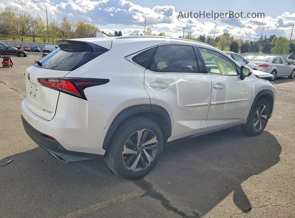 JTJBARBZ6K2215246 2019 LEXUS NX White 
