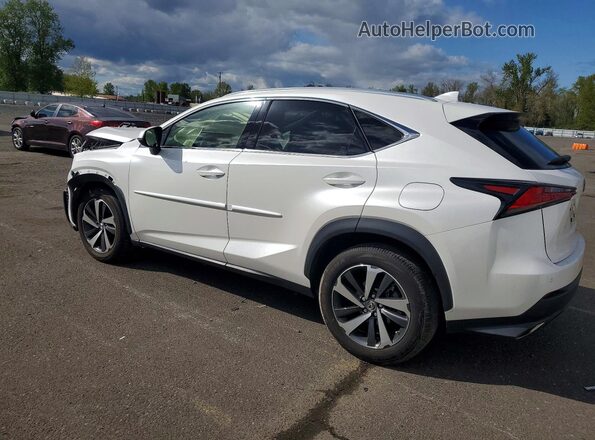 JTJBARBZ6K2215246 2019 LEXUS NX White 