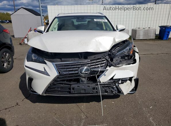JTJBARBZ6K2215246 2019 LEXUS NX White 