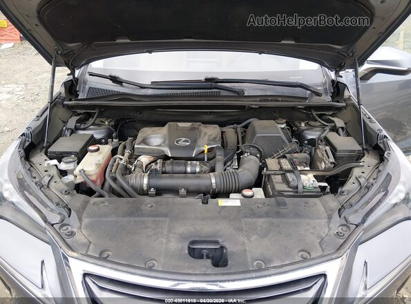 JTJBARBZ8G2046872 2016 LEXUS NX 200T Gray უკანა ხედი