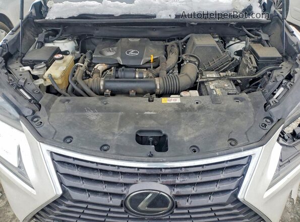 JTJBARBZ8J2170907 2018 LEXUS NX White Widok wnętrza z tyłu