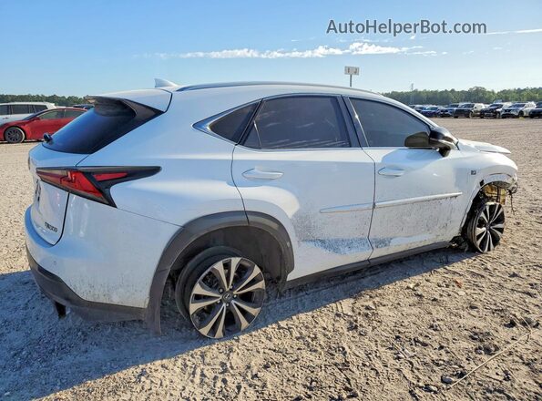 JTJBARBZ8J2176562 2018 LEXUS NX White Հետևի աջ