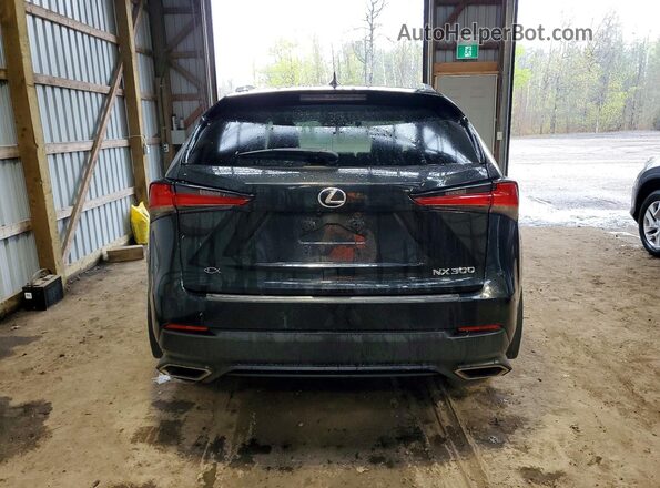 JTJBARBZ8K2179236 2019 LEXUS NX Black უკანა ხედი