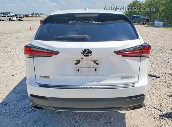 JTJBARBZ9J2169880 2018 LEXUS NX White Widok z tyłu